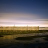 Dalhousie Snow Fence